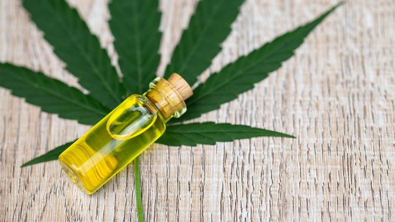 What You Should Know About CBD Oil With THC?