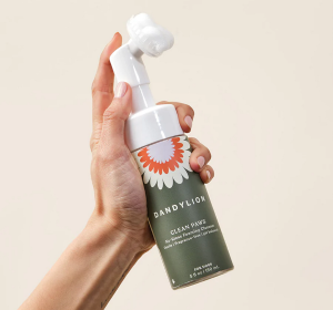 Dandylion Clean Paws No-Rinse Foaming Cleanser