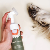 3. Dandylion Dog-Grooming Products (9)