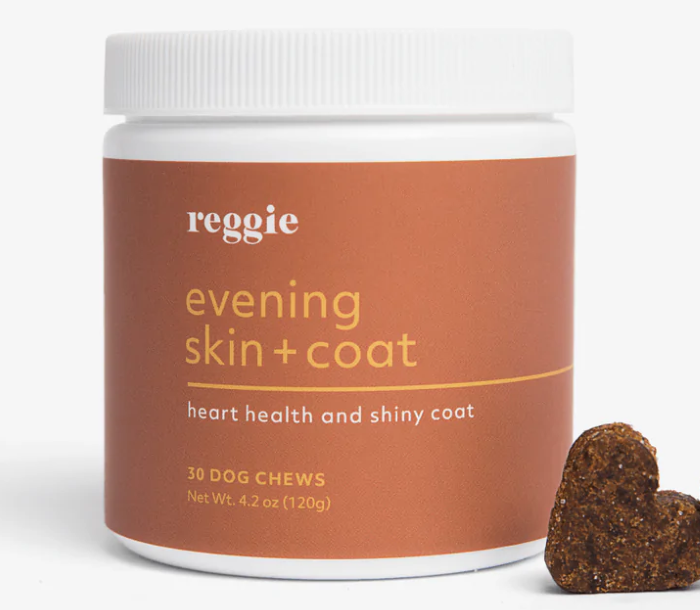 Reggie evening skin + chewed coat