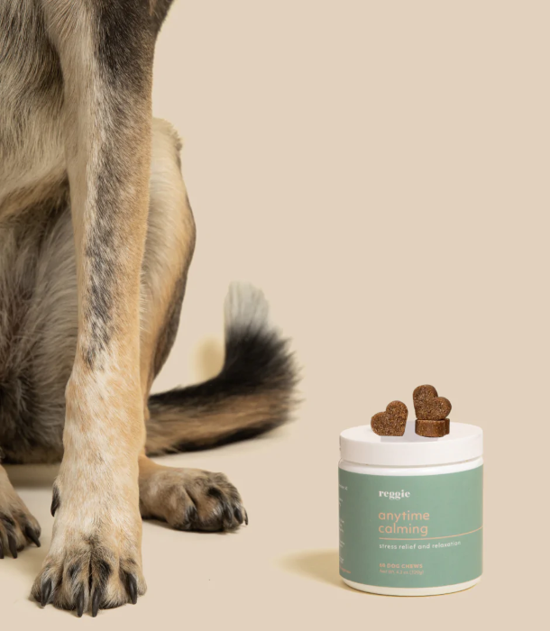 Reggie Anytime Calming Chews