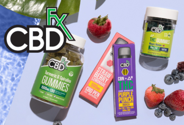5 Critical Questions To Consider Before Purchasing CBD Gummies