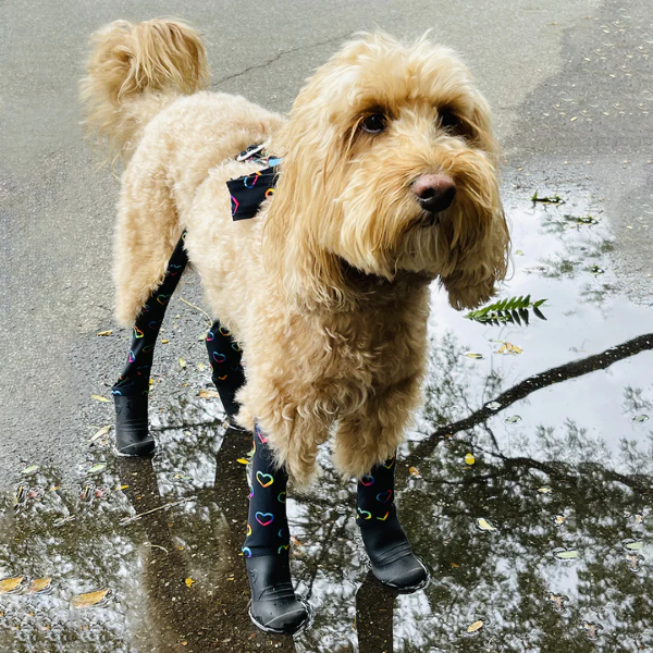 Walkee Paws DELUXE Easy-On Waterproof Dog Boot Leggings