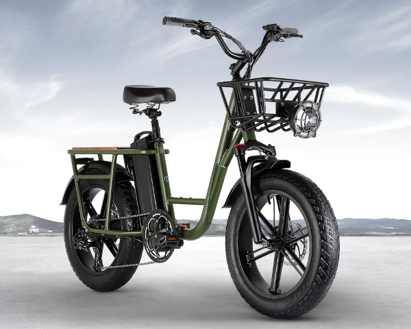 Fiido T1 Pro – Powerful Utility Cargo Electric Bike for Everyday City Riding