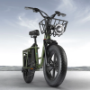 3. Fiido T1 Pro Utility Electric Bike (10)