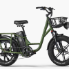 3. Fiido T1 Pro Utility Electric Bike (8)