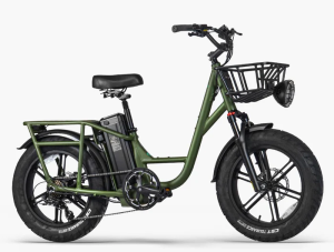 Fiido T1 Pro Utility Electric Bike