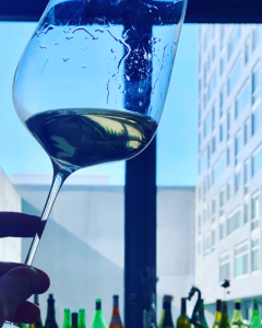 Glasvin Universal Wine Glass