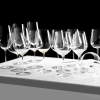 3. Glasvin Universal Wine Glass (6)