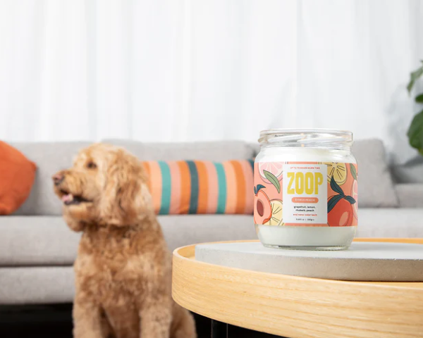 4. Zoop Pet Products 16