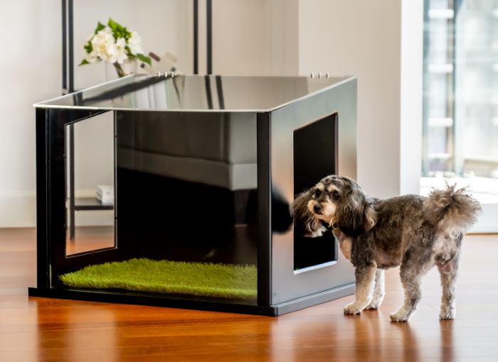 City Loo Starter Kit – Modern Indoor & Outdoor Dog Potty Solution