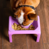 3. Fluff Trough & Silicone Insert Set (4_1)