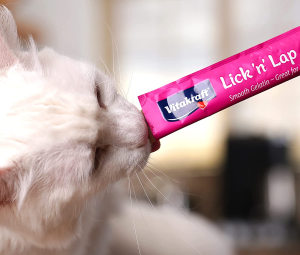 Vitakraft Lick 'N' Lap Snacks