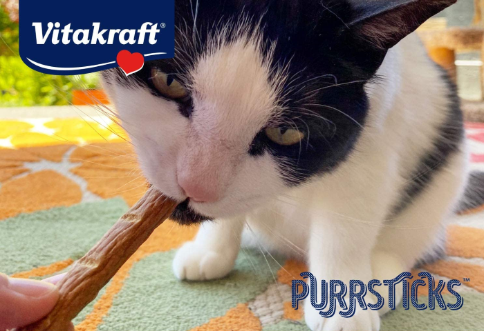 Purrstick Vitalitas