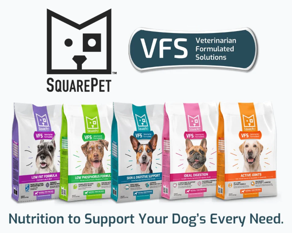 SquarePet VFS Lineup – Veterinarian-Formulated Natural Dog Foods