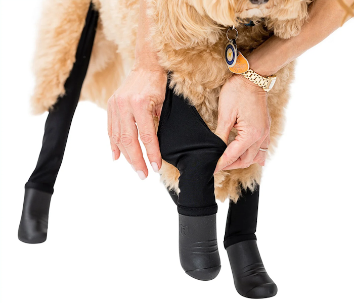 Legging ringan Walkee Paws Deluxe untuk anjing