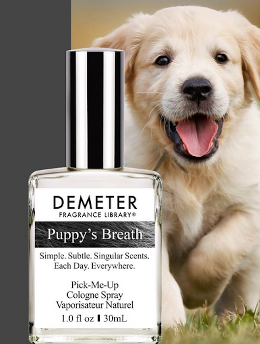Nafas Anak Anjing Demeter
