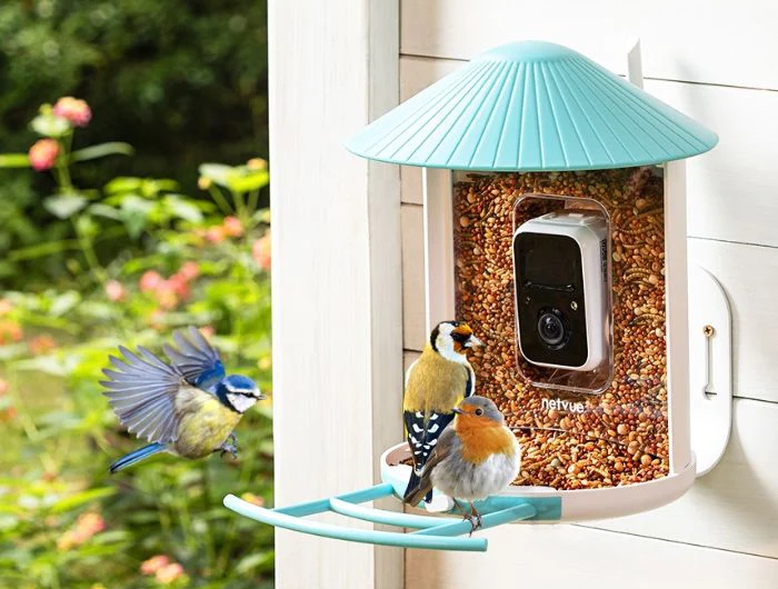 Birdfy Feeder – Smart AI-Powered Bird Feeder