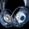 3. SteelSeries Arctis Nova 5X Wireless (6)