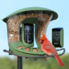 2. Birdfy Feeder 2 Duo (1)