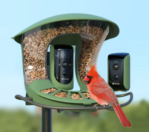 Birdfy Feeder 2 Duo