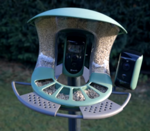 Birdfy Feeder 2 Duo