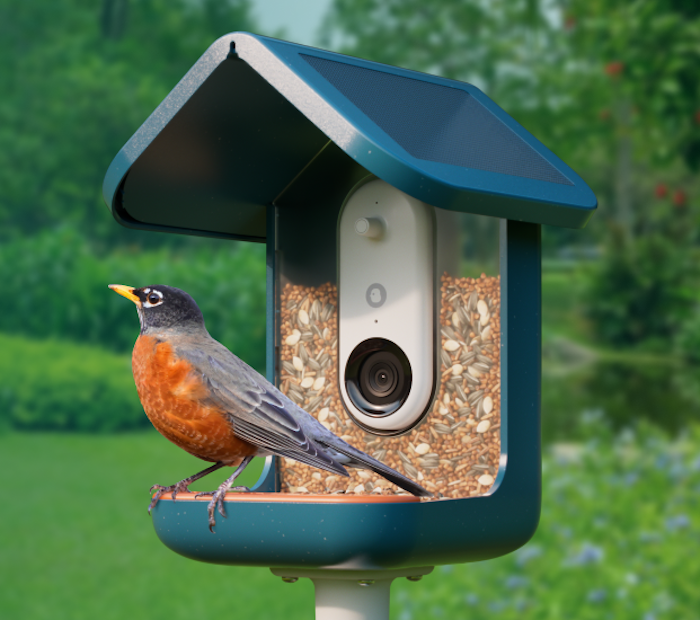 Bird Buddy Smart Bird Feeder PRO