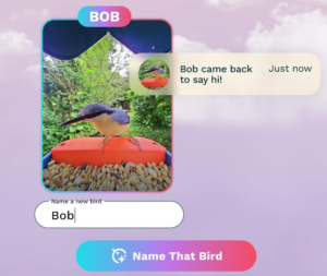 Bird Buddy App