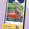 2. Bird Buddy Smart Bird Feeder PRO (11)