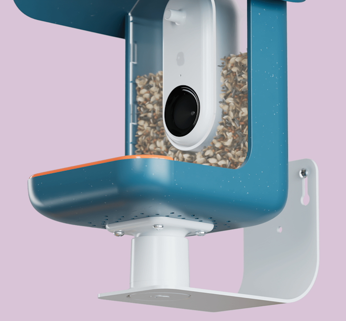 Bird Buddy Wall Mount