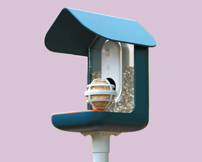 Bird Buddy Suet Ball Holder