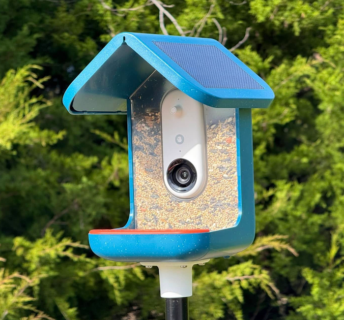 Bird Buddy Smart Bird Feeder PRO
