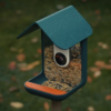 2. Bird Buddy Smart Bird Feeder PRO (3)