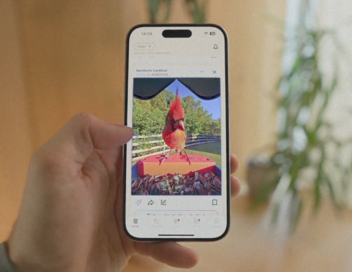 Bird Buddy App