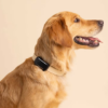 2. Tractive DOG 6 GPS Tracker (1)