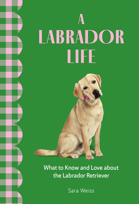 Favorite Dog Series – Illustrated Books About the Most Popular Dog Breeds A Labrador Life