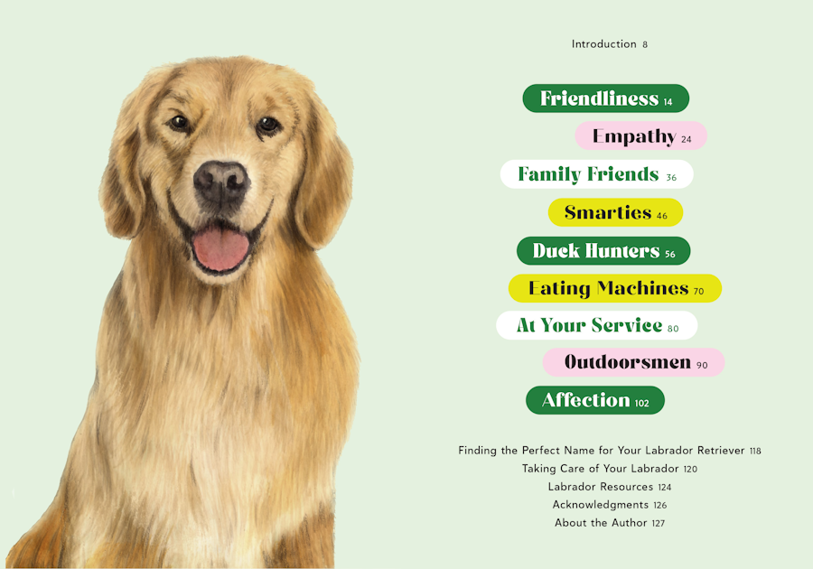 1. Favorite Dog Series 9