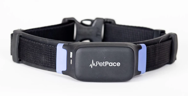 PetPace Smart Collar 2.0 – AI-Powered Health-Monitoring Smart Dog Collar PetPace Smart Collar 2.0