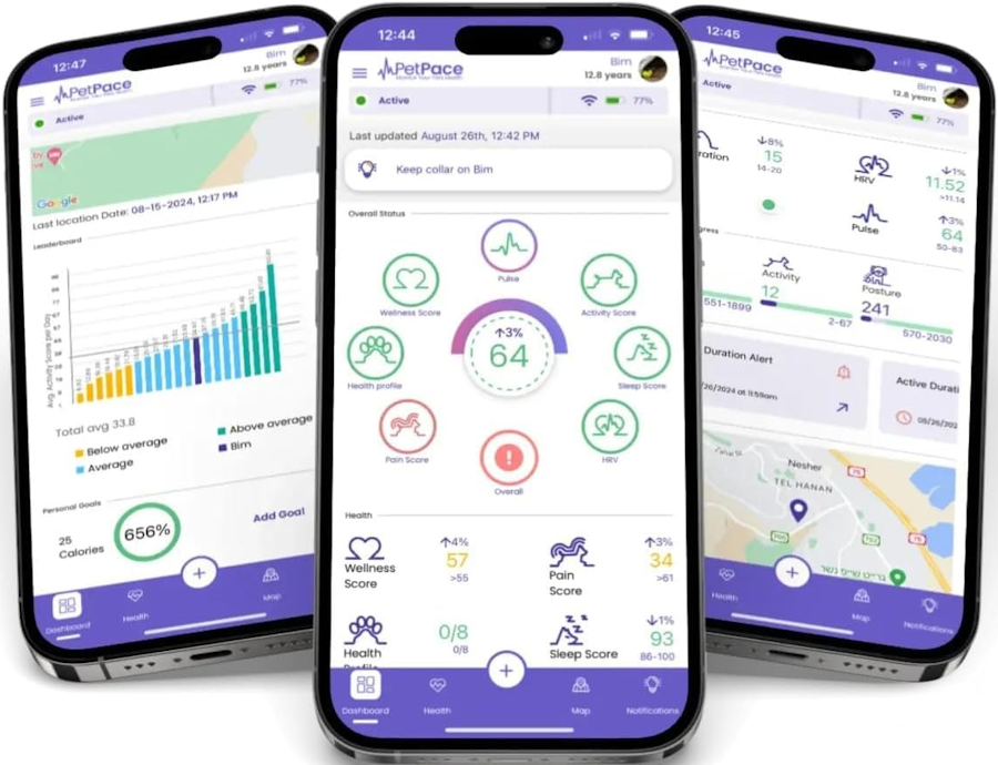 PetPace Smart Collar 2.0 – AI-Powered Health-Monitoring Smart Dog Collar PetPace App
