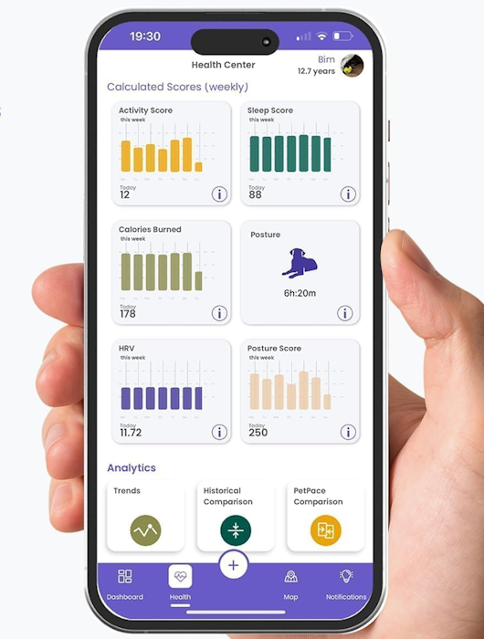 PetPace Smart Collar 2.0 – AI-Powered Health-Monitoring Smart Dog Collar PetPace App