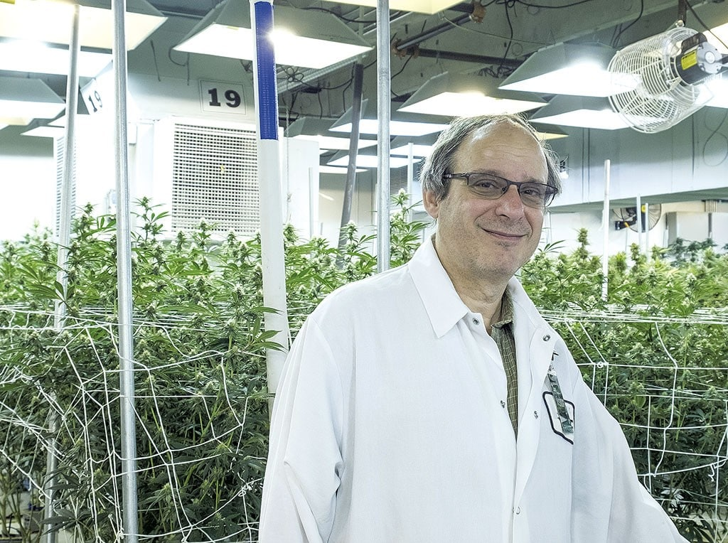 David Sandelman, Cannatrol