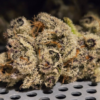 2. Cannatrol Cool Cure Clear UV Glass (5)